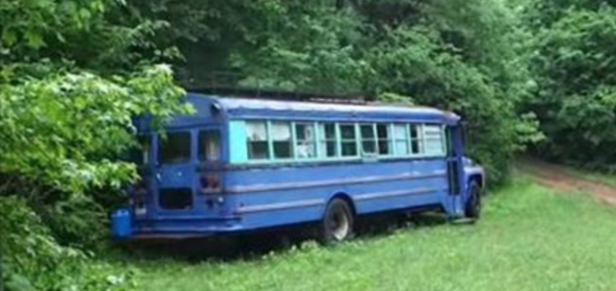 Отец с сыном нашли в лесу старый автобус. Зайдя внутрь, они ахнули…
