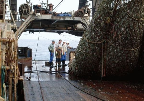 Ці рибалки розвантажували сіть, коли побачили щось жахливе… Ось такий улов!
