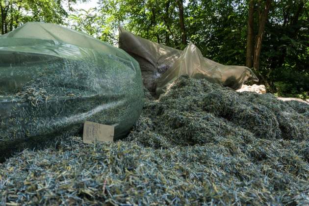 В лесопосадке под Днепром нашли мешки с миллионами гривен. Видео