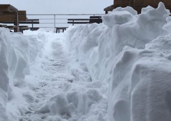 Понад 30 сантиметрів: сьогодні, на півночі Італії випав сніг. Люди шоковані! ВІДЕО
