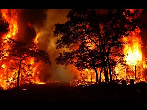 СРОЧНО! Пожар в Ялте увеличился в 30 раз, это катастрофа.