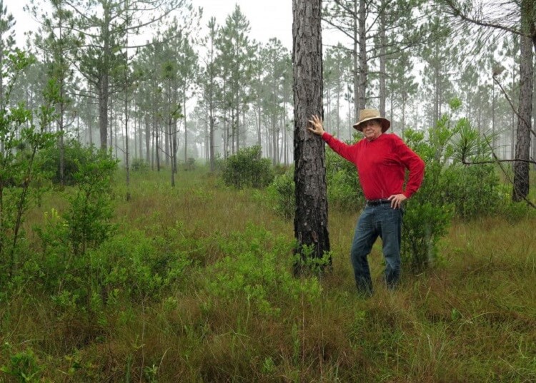 Цей чоловік висадив 8 млн дерев і відновив ліс, вирубаний 100 років тому! (ФОТО)