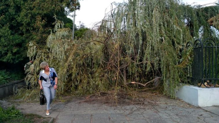Повалені дерева та розтрощені зупинки! У Львові штормовий вітер “наробив біди”! (ФОТО)