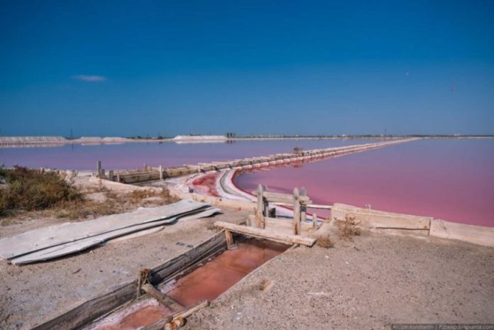 Рожеве Лемурійське озеро — диво України! Лікує шкіру, суглоби і не тільки…
