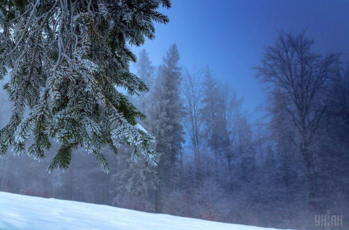 Хто замовляв сніговий Новий рік? Оприлюднено детальний прогноз погоди на зиму в Україні!