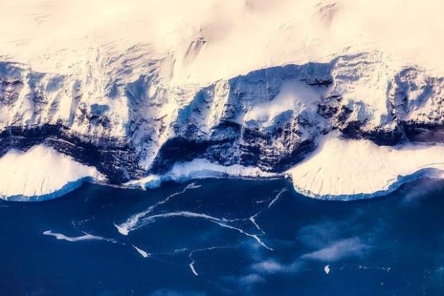 В льодах Антарктиди вчені виявили справжнього монстра!