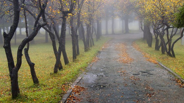 До України наближаються холод та дощі! Синоптики дали прогноз на 21 жовтня!