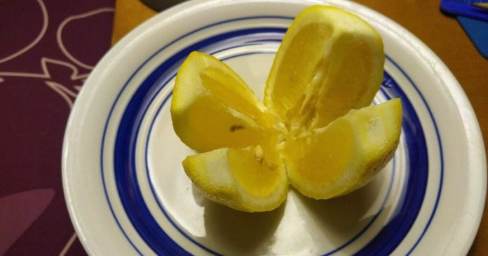 Розріжте лимон і залиште його в спальні: одного разу це може врятувати всю сім’ю від біди
