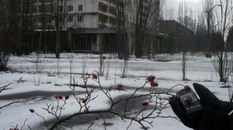 Чоловік встановив фотопастки біля Чорнобиля. Те, що зняла камера, не піддається жодному опису
