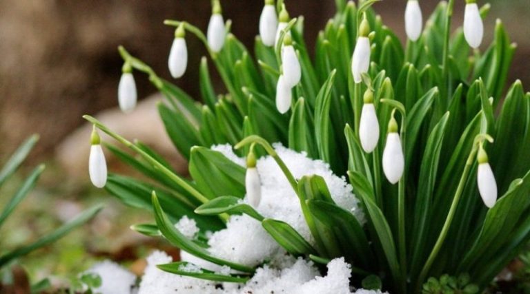 Погода на березень: весна скасовується, синоптики сьогодні змінили свій прогноз!