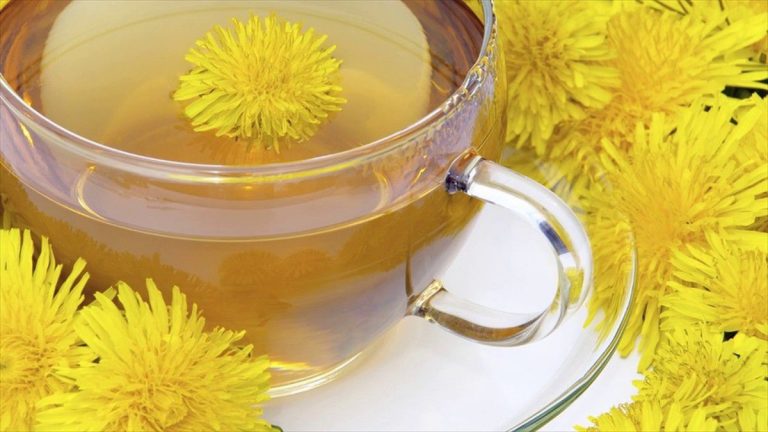 Ось 7 речей, які відбудуться з вашим тілом, якщо ви почнете пити чай з кульбаби!