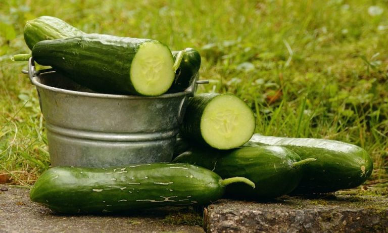 Ось що буде з вашим тілом, якщо ви будете їсти огірки кожен день протягом місяця!
