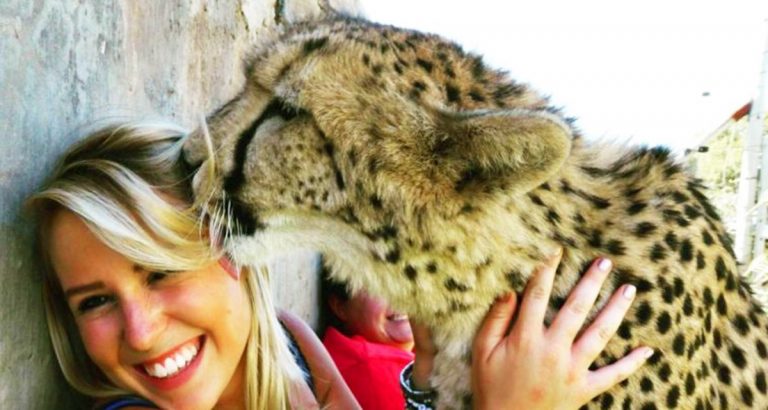 Дівчина врятувала малюка-гепарда від браконьєрів. Тепер у неї є незвичайний домашній улюбленець! (Фото)