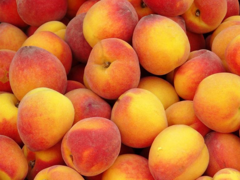 Справжня скарбниця вітамінів! Фахівці перерахували корисні властивості персика!