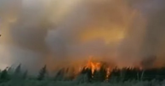 Росія у вогні: Країну охопили потужні лісові пожежі, вводиться надзвичайний стан…