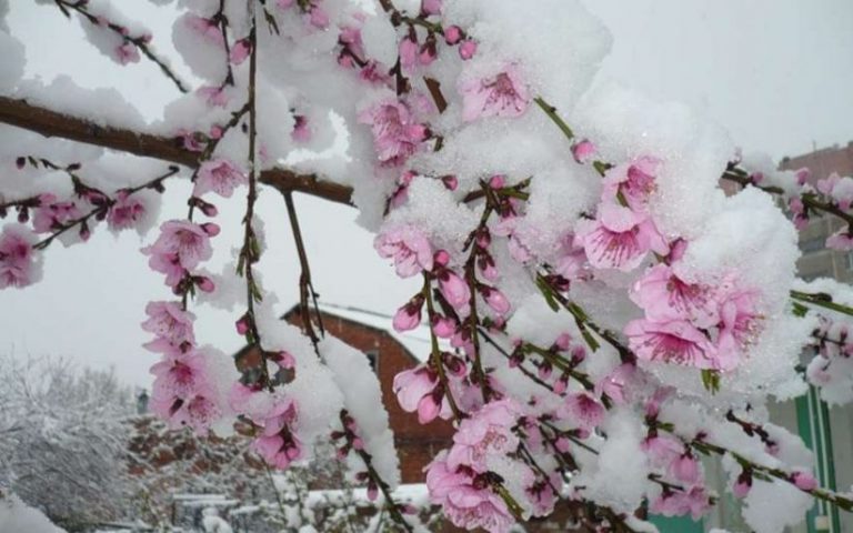 Сніг накрив Україну посеред літа: це kатастрофа, кадри, що лякають