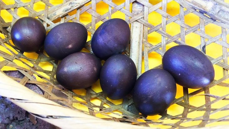 Житель з Вінничини знайшов дивні яйця чорного кольору – коли він побачив, що вилупилося з них, то був шокованuй