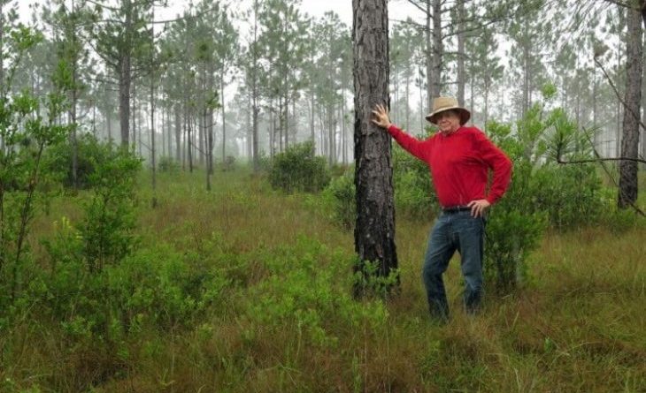 Цей чоловік висадив 8 млн дерев і відновив ліс, вирубаний 100 років тому! (ФОТО)