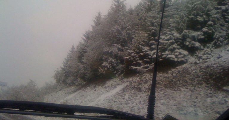 Зима вже близько: В Україні раптово випав перший сніг(фото)