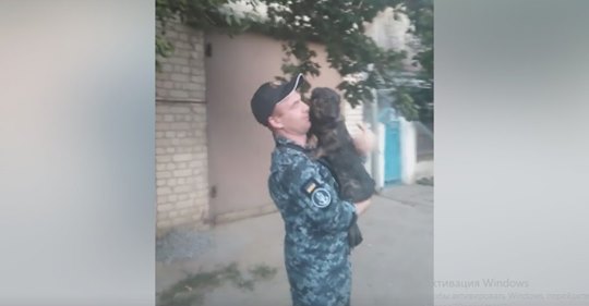9 місяців собака Джессі чекала з полону моряка Сергія.. І ось вони зустрілись! Відео!