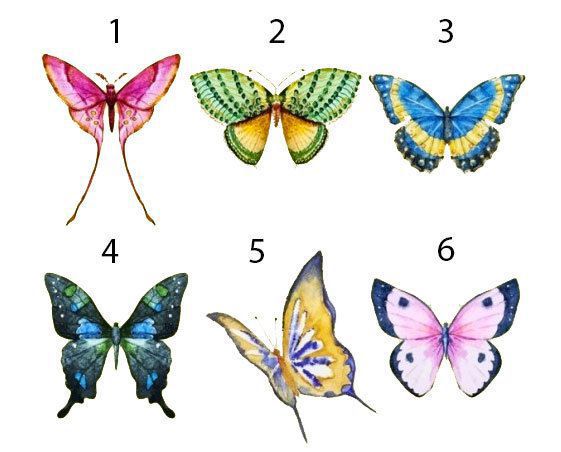 Метелик, якого ви виберете, розкаже про приховані сторони вашої особистості!