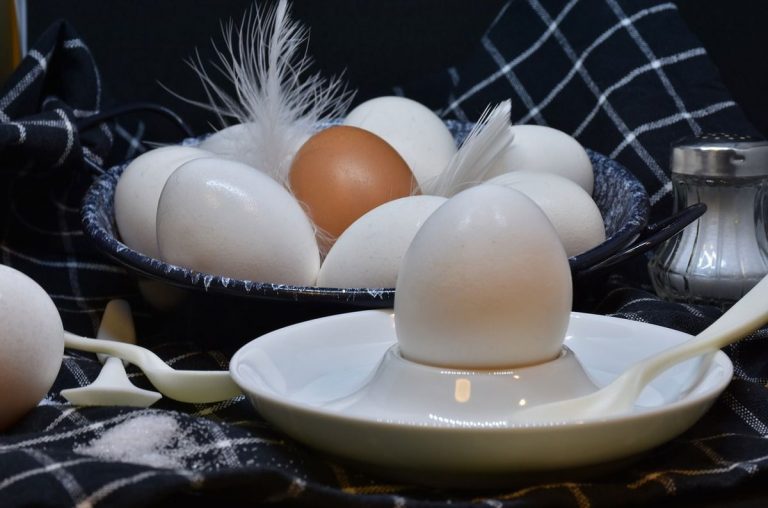 16 міфів про яйця, в які соромно вірити в XXI столітті!