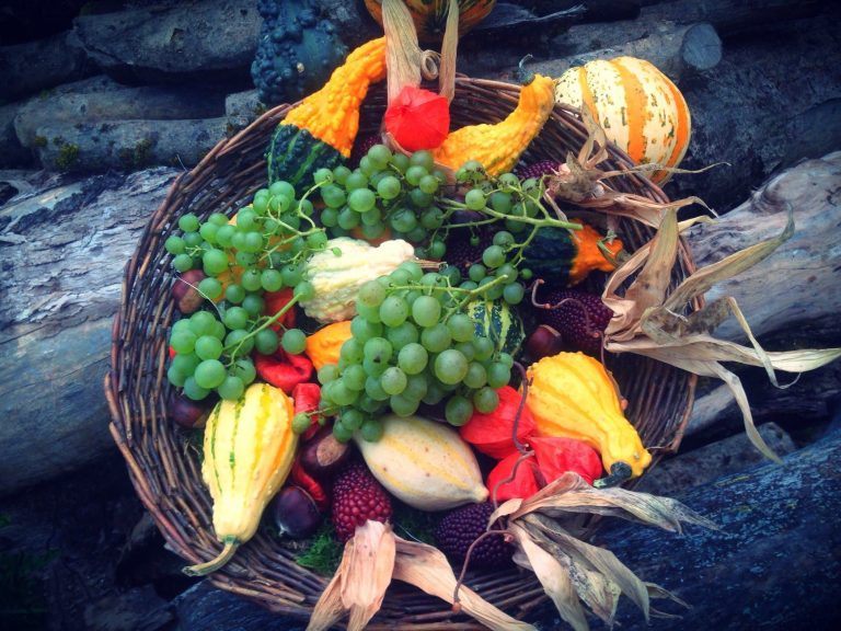 Які фрукти і ягоди потрібно їсти восени, щоб бути здоровим!