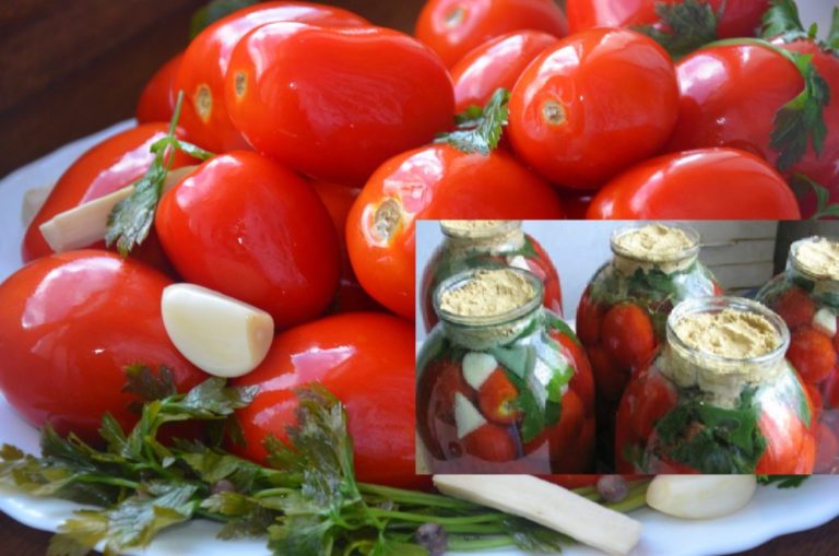 Квашені помідори з гірчицею в банках – від бочкових не відрізнити!