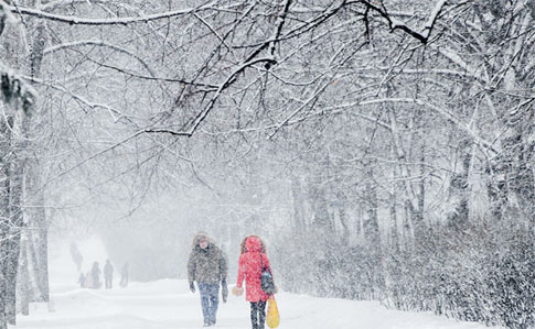 Дива не буде? Синоптик розповів, коли Україну засипле снігом і якою буде погода на Новий рік!